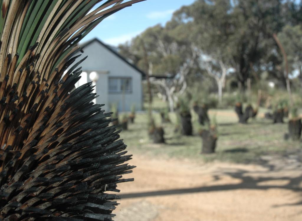 Esperance Coastal Retreat 빌라 외부 사진
